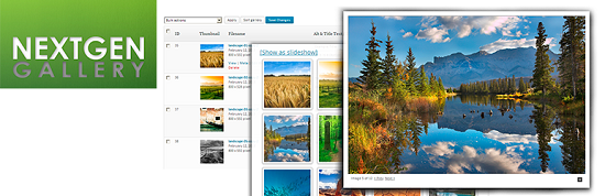 NextGen gallery