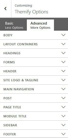 Themify Infinite Customize Site