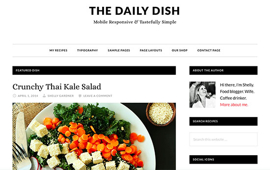 StudioPress Daily Dish Pro Review
