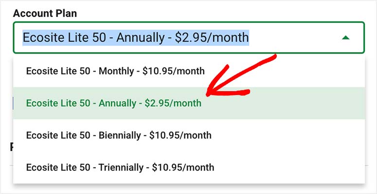 GreenGeeks Account Plan