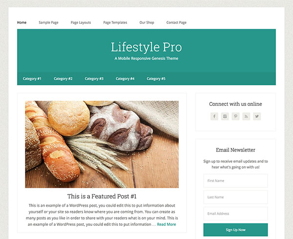 Lifestyle Pro Review