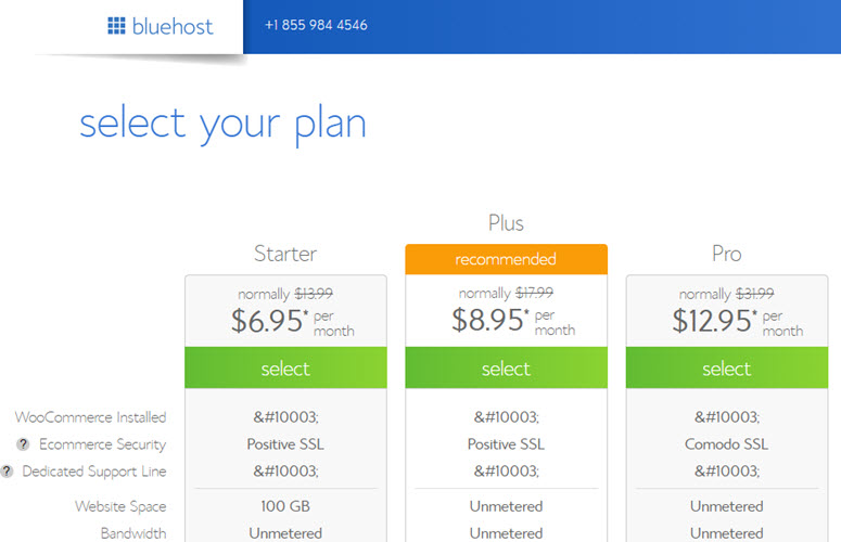 bluehost woocommerce hosting plan