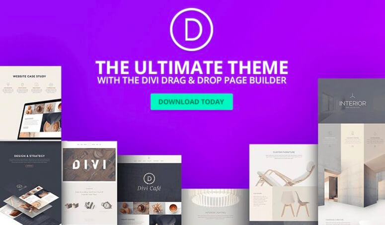 Divi Theme, seo optimized theme