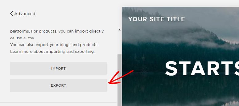 export squarespace