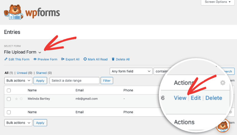 view entry in WPForms