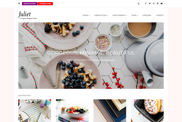 juliet-wordpress-theme