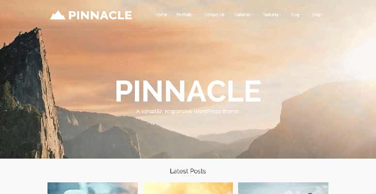 Pinnacle