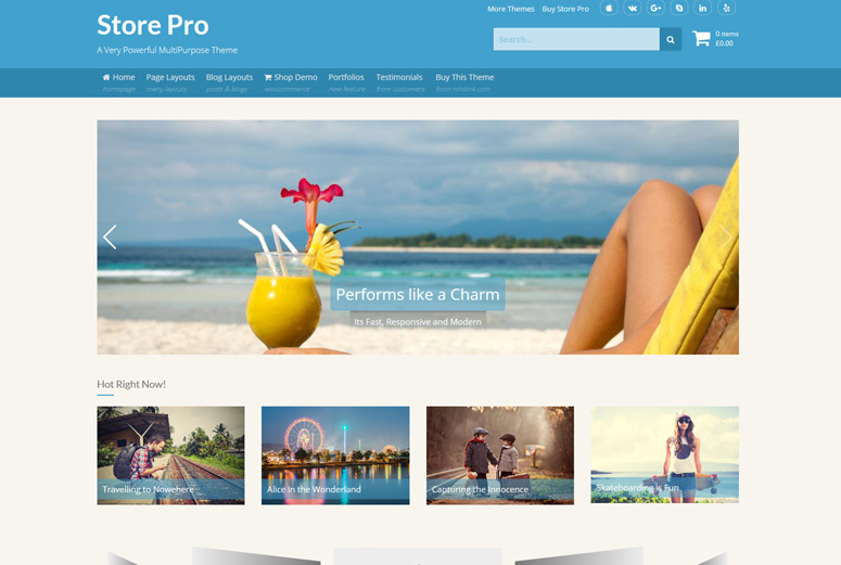 store-wordpress-theme