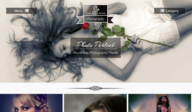 photo-perfect-wordpress-the