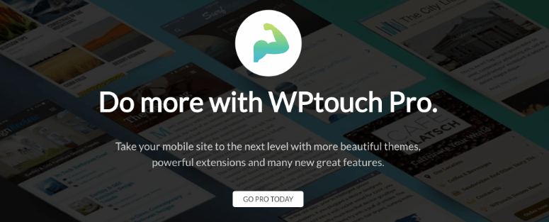 Wptouch sales