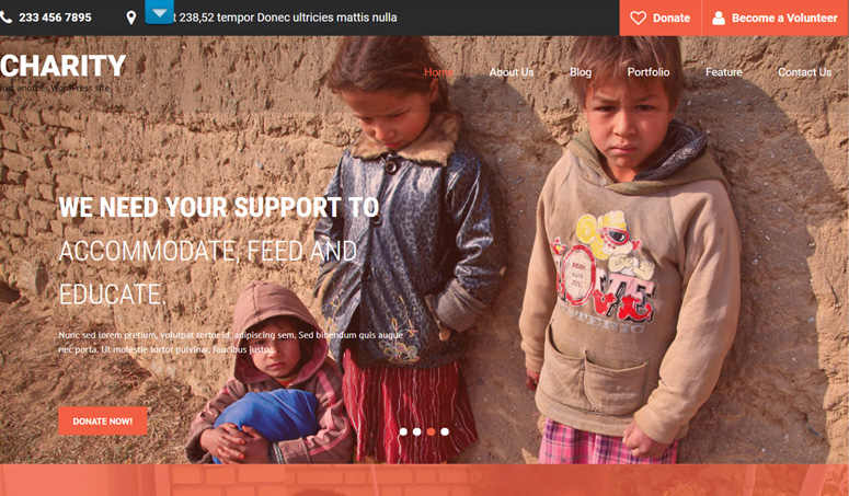 skt-charity-wordpress-theme