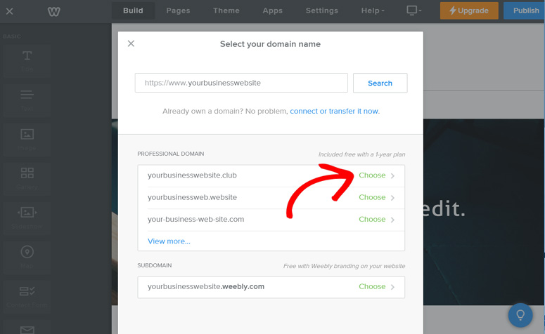 choose-professional-domain-name-weebly