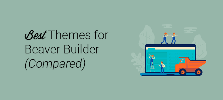 best beaver builder themes