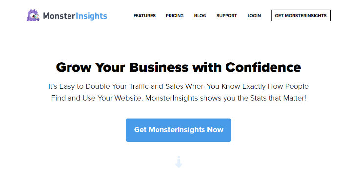 monsterinsights-customize-wordpress
