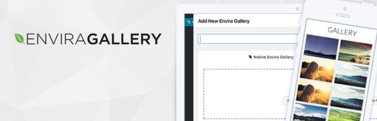 envira-gallery-plugin