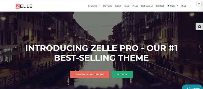 Zelle Pro