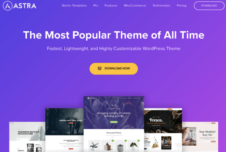 I Rank The Best and Most Popular WordPress Themes of 2025 (UPDATED)