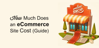 ecommerce site setup cost