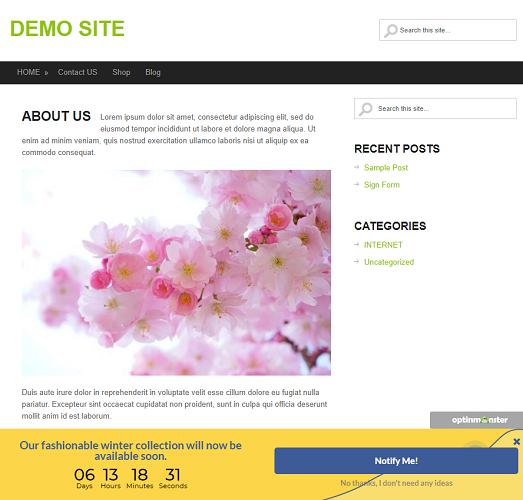 countdown timer in wp