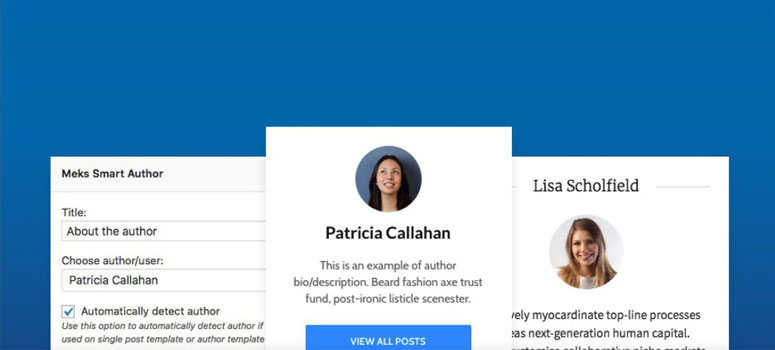 Smart Author Widget