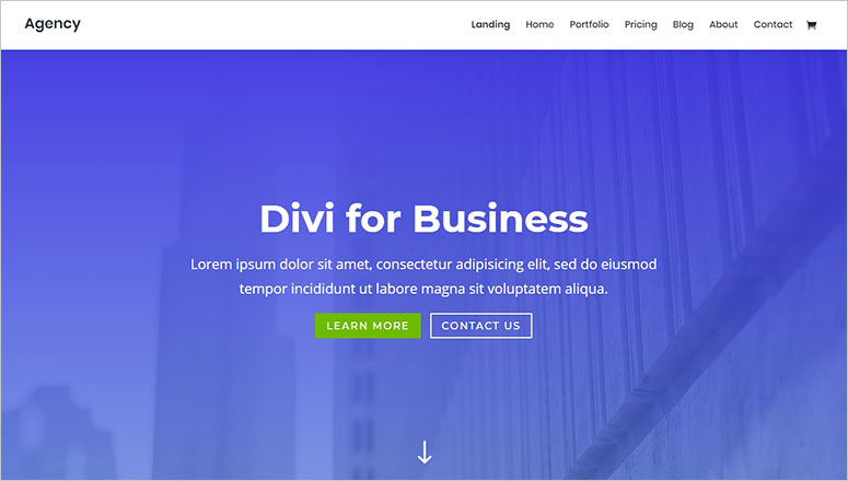 Divi theme