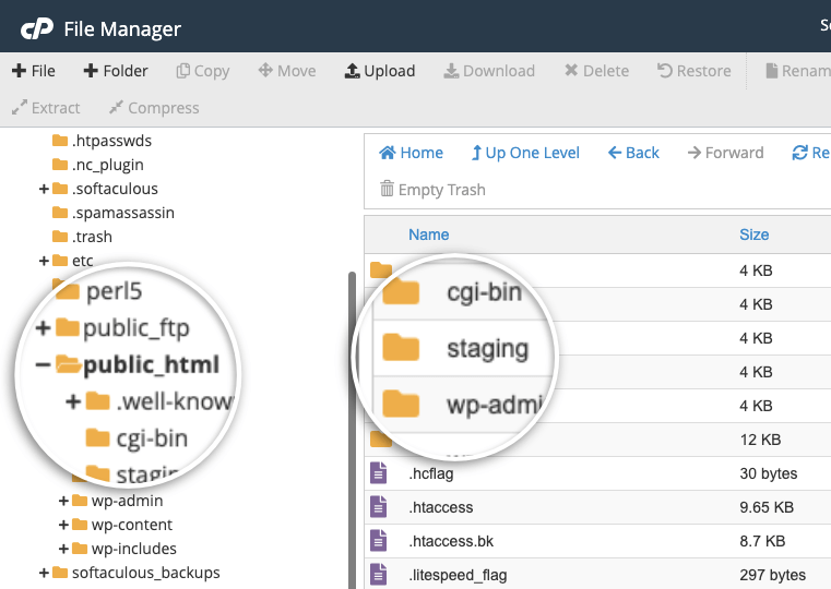 public html in cPanel