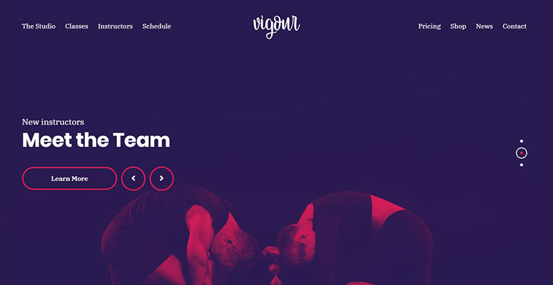 Vigour - IsItWP - Free WordPress Theme Detector Vigour