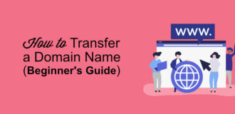 transfer domain name