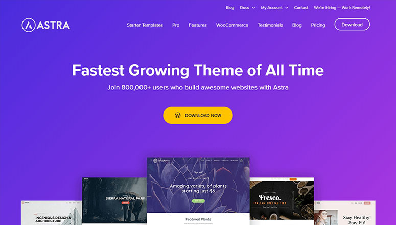 Astra theme, free ecommerce themes