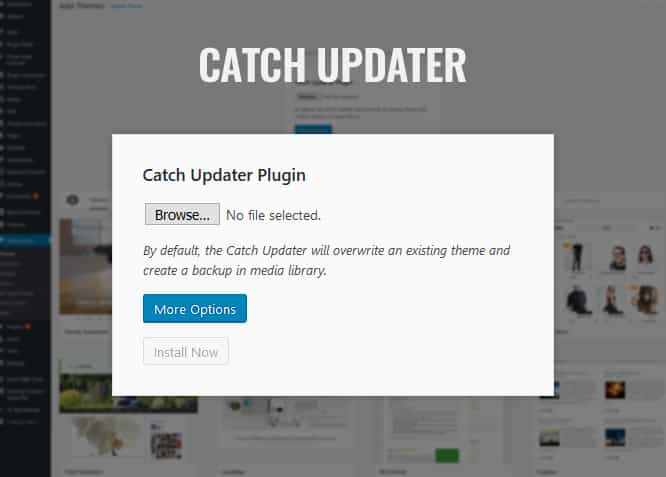 catch-updater