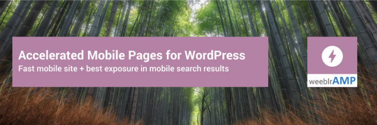 AMP for WordPress