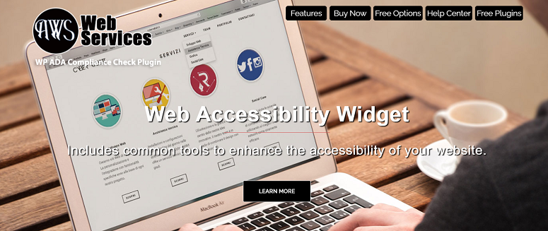 accessibility plugins