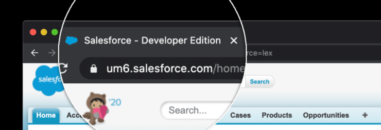 check salesforce edition 