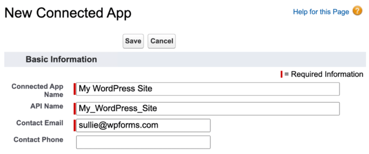 fill out salesforce basic information 