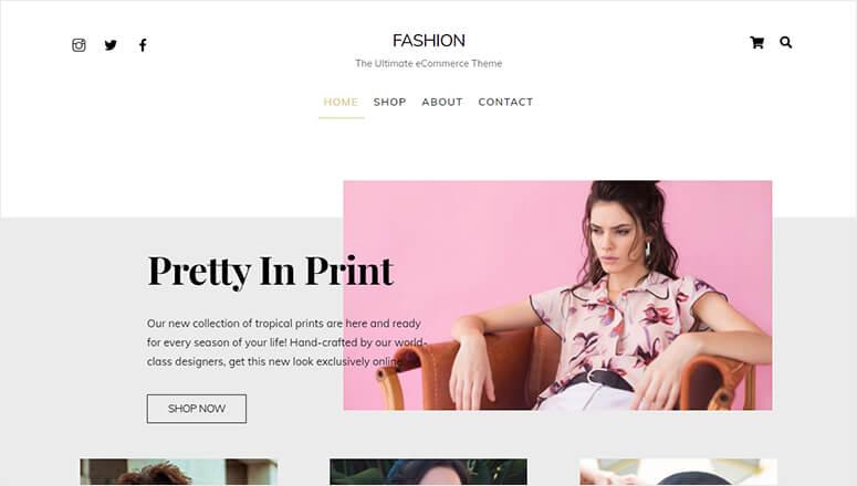 24 Best Clothing Store and Fashion WordPress Themes