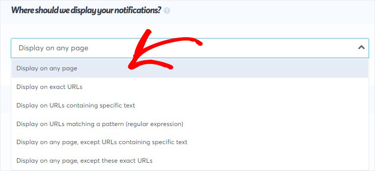 display notifications - IsItWP - Free WordPress Theme Detector display notifications