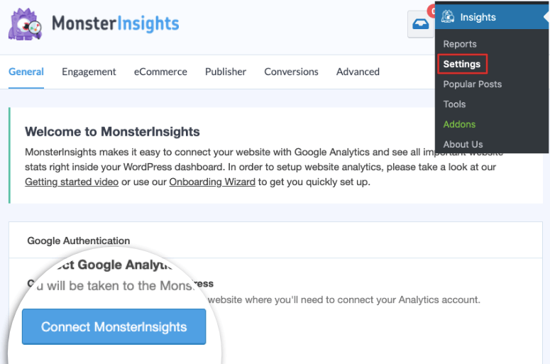 Connect MonsterInsights