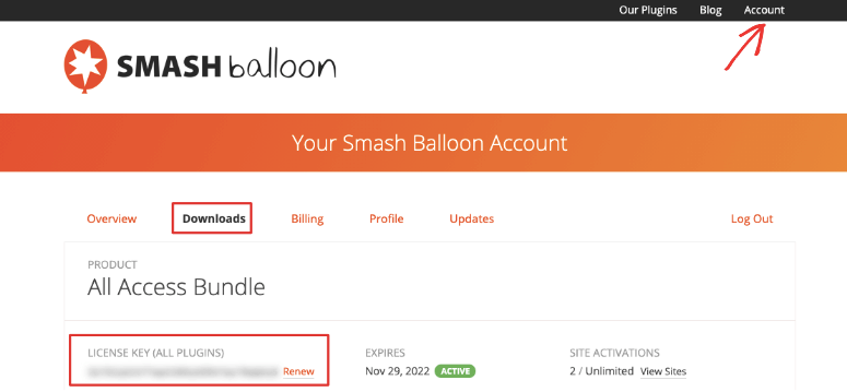 Smash Balloon license key