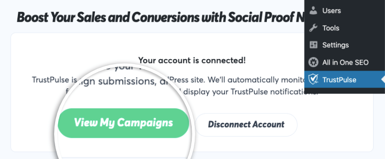 view my campaigns with trustpulse