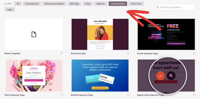 filter preview seedprod templates