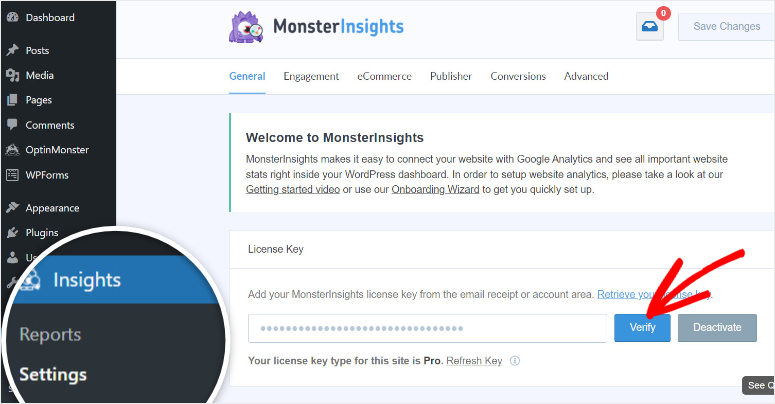 configuración de monsterinsights