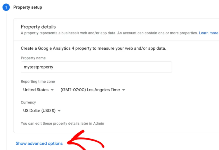 add property details and click show advanced options