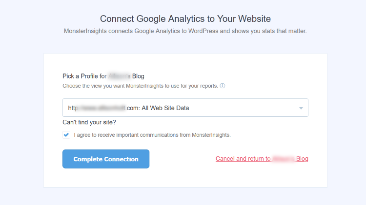 choose the website profile for monsterinsights