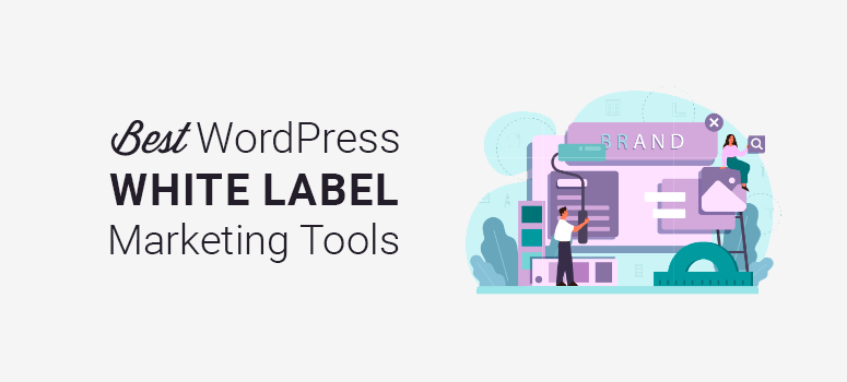 Best Whilte Label Marketing Tools for WordPress