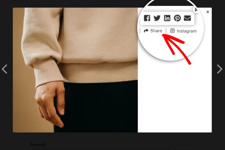how to add instagram share button in wordpress
