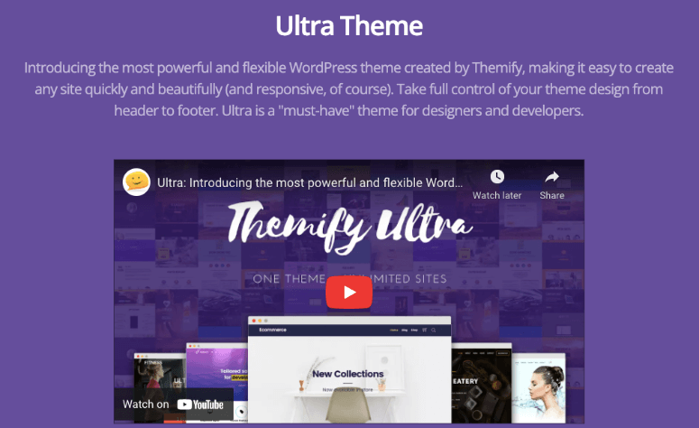 ultra theme for wordpress