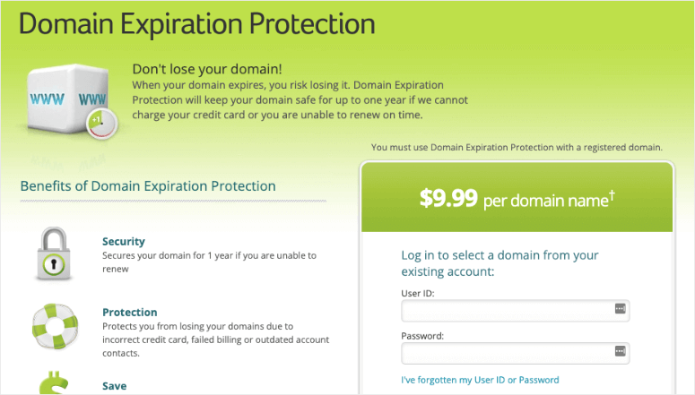 Domain Expiration Protection