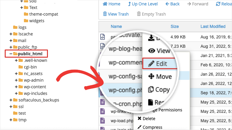 editar archivo wpconfig - IsItWP - Detector de temas gratuito de WordPress