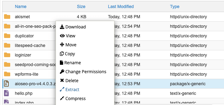 edit or delete plugin file in cpanel