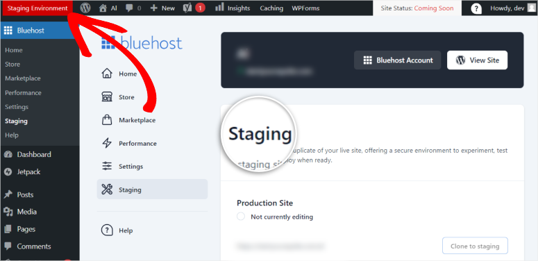 bluehost live staging started